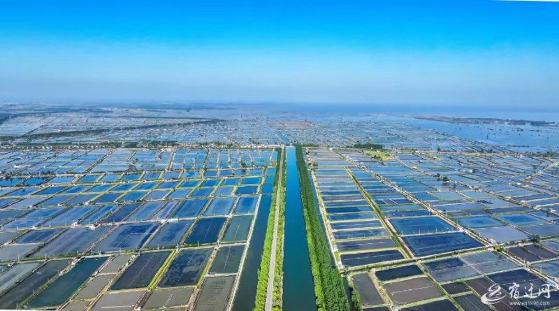泗洪：水陆两栖的水产养殖业