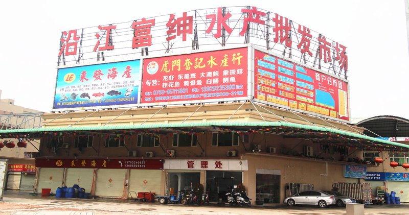 鱼苗供应市场现状与展望：养殖业的小巨人